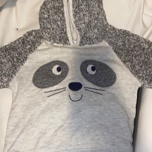 2T grey raccoon hoodie